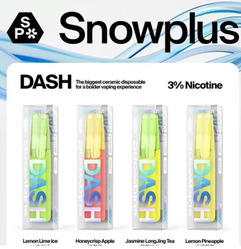 雪加鸭嘴兽一次性电子烟多少钱一只